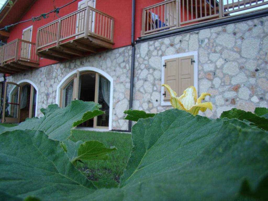 Agritur Maso Spezial Villa Villa Lagarina Ngoại thất bức ảnh