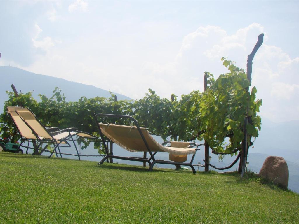 Agritur Maso Spezial Villa Villa Lagarina Ngoại thất bức ảnh