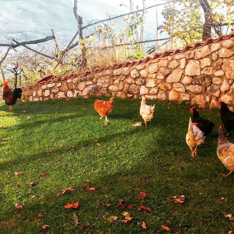 Agritur Maso Spezial Villa Villa Lagarina Ngoại thất bức ảnh